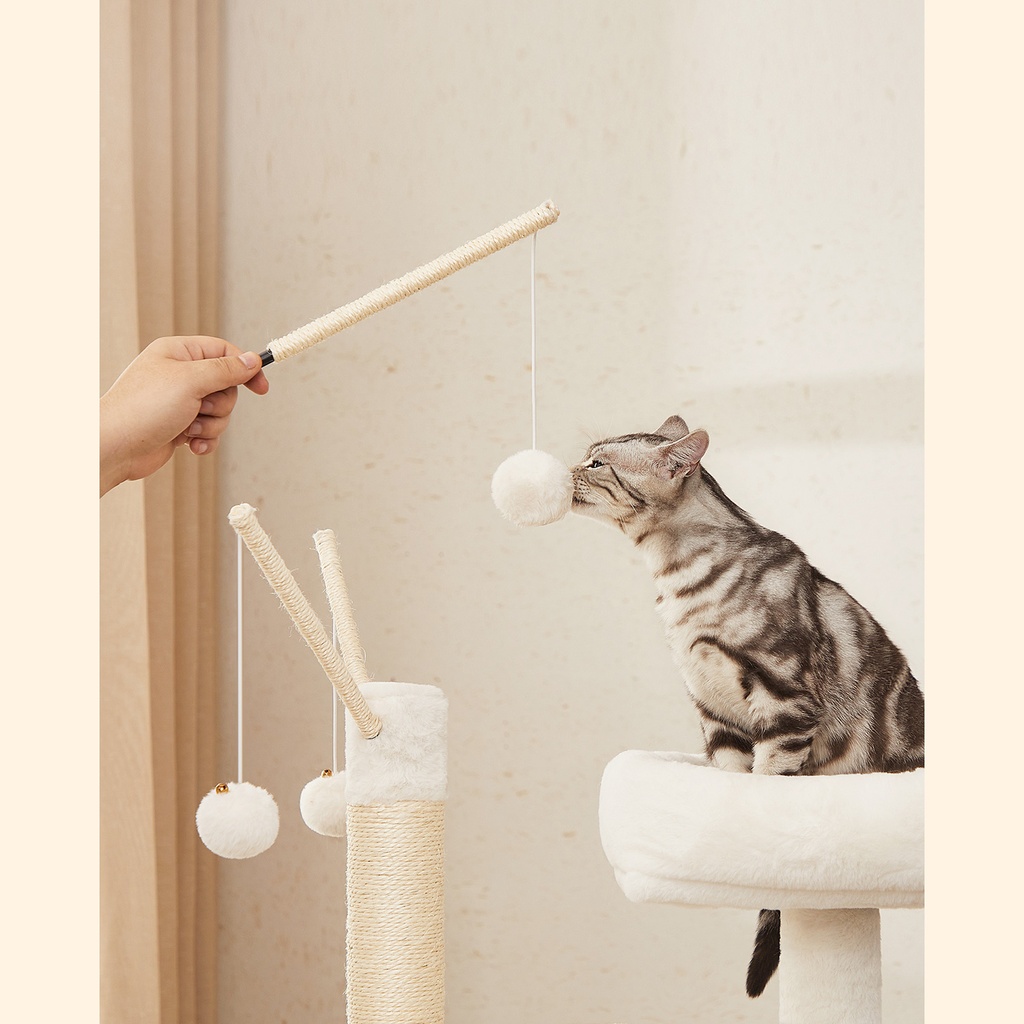 Image importée
