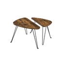 VASAGLE Lot de 2 tables d'appoint, tables gigognes, tables d'appoint, pour salon, salle à manger, chambre à coucher, style industriel, marron rustique et noir LNT012B01
