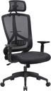 SONGMICS Chaise de bureau ergonomique avec support lombaire, chaise d'ordinateur pivotante avec appui-tête et accoudoirs réglables, fonction berçante et réglage de la hauteur, noir OBN53BK
