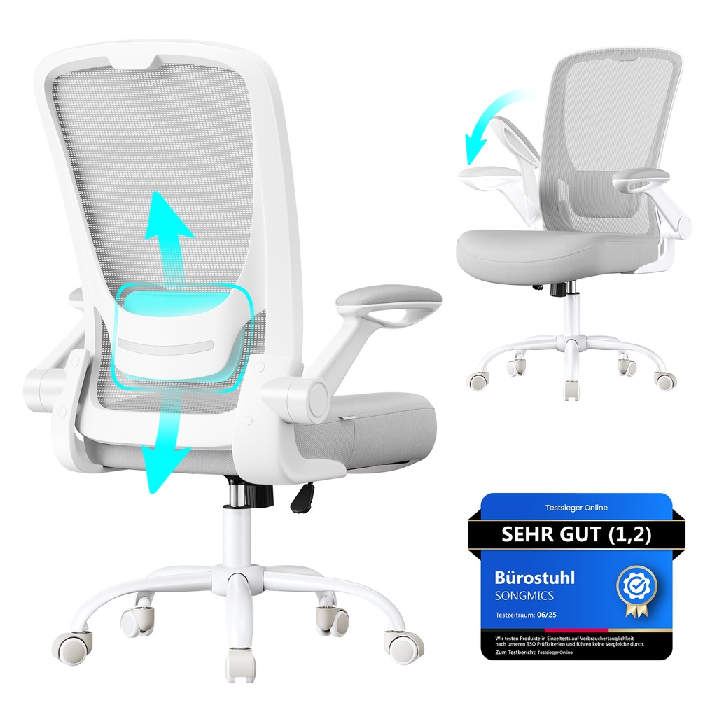 SONGMICS Chaise de Bureau Pivotante, Chaise d'Ordinateur Ergonomique en Maille, Support Lombaire, Fonction Bascule, Assise 53 cm, Accoudoirs Relevables, Gris Tourterelle OBN037G02
